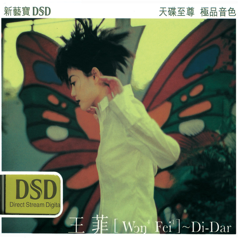 王菲-《Di Dar》