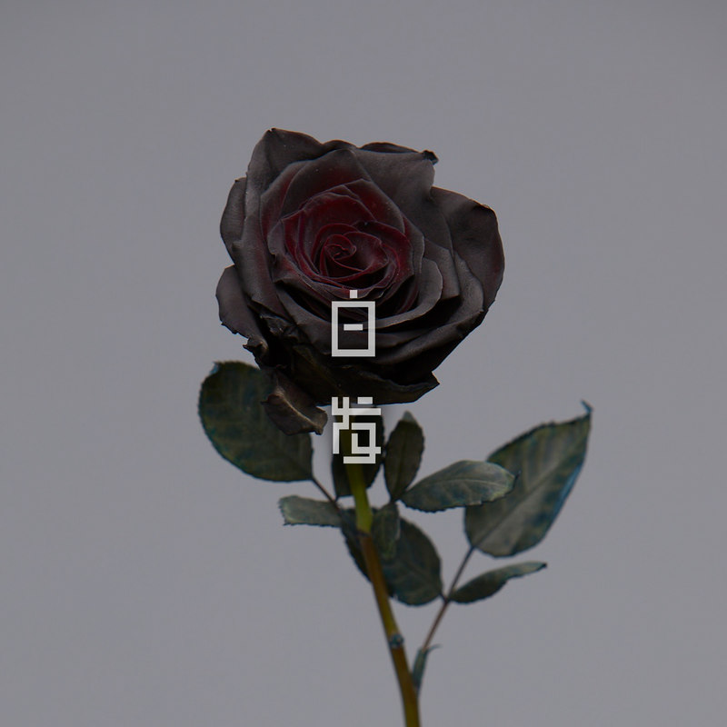 方大同-《白发》